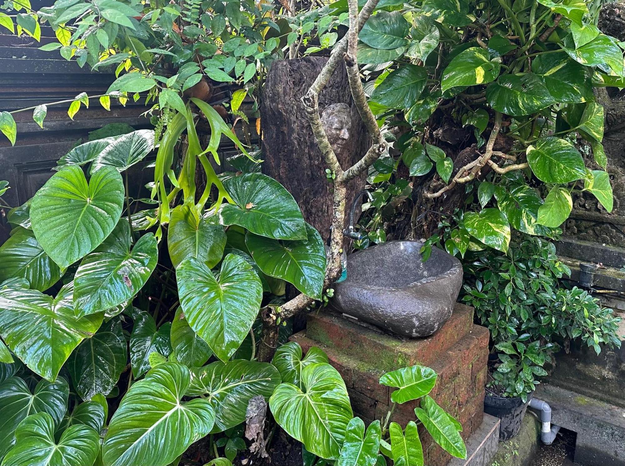 Naeera Guest House Ubud Exteriér fotografie